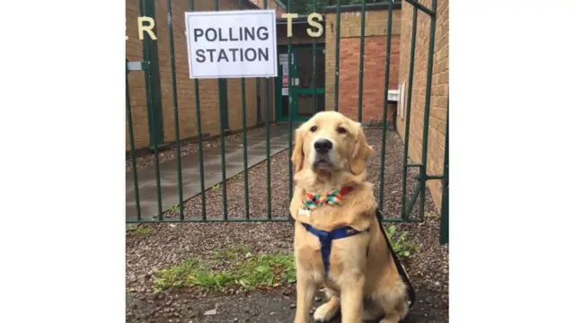 Screen grab of tweet by @DrRJWalker