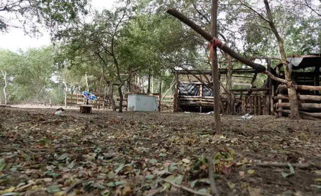 Lugar del asesinato de 6 personas en Tecomán el 7 de enero pasado.