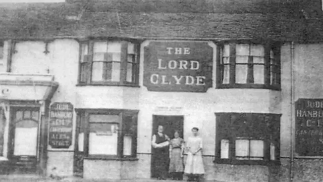 பப்பின் புகைப்படம்