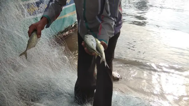 વ્યક્તિના હાથમાં માછલાં