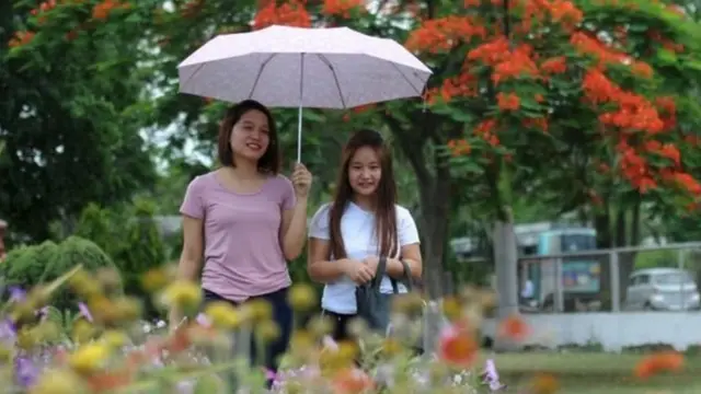 प्रातिनिधिक फोटो