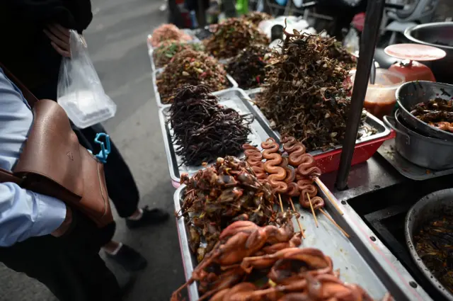 นักล่างู โตนเลสาบ งู