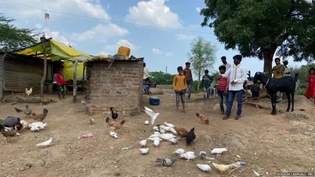 चव्हाण दाम्पत्याचं घर.