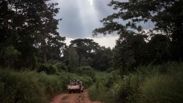 Cascos azules en la República Centroafricana.