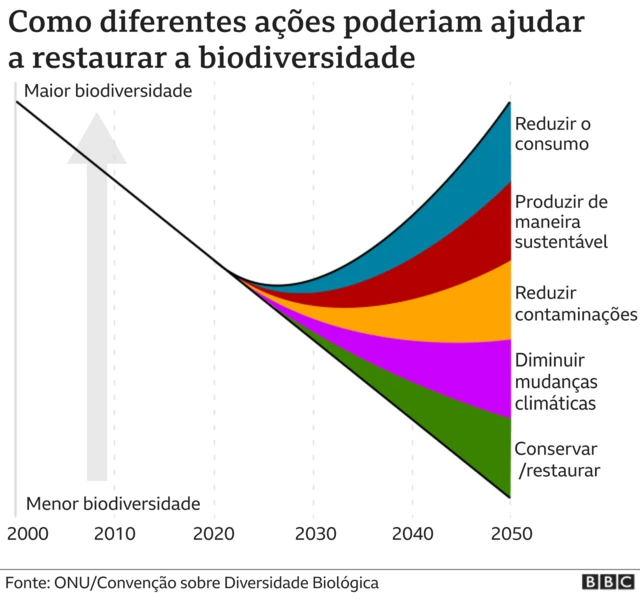 Gráfico