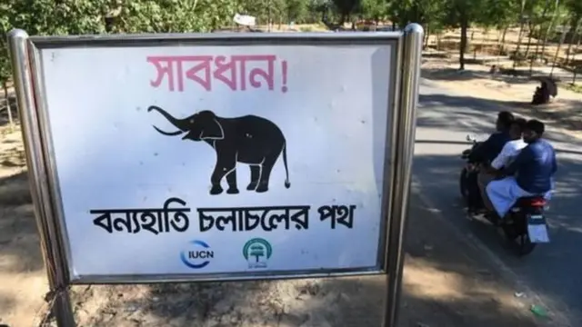 হাতির যাওয়া-আসার পথ নির্দেশক সাইনবোর্ড