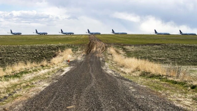 การจราจรทางอากาศลดลงกว่าครึ่งในสหรัฐฯ