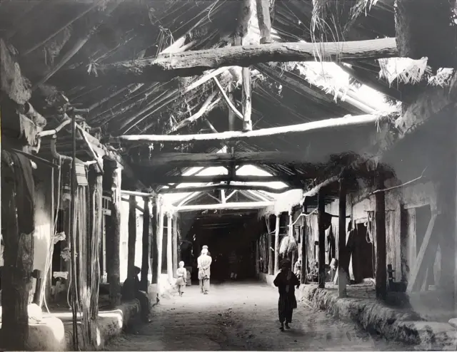 گنجینه افغانستان