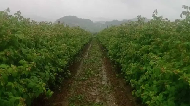 Malinjak Marka Jeremića