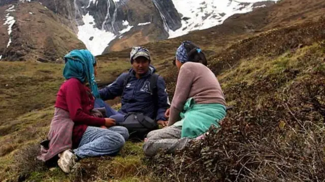 यारसागुंबा