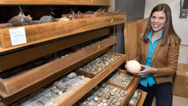 Mary Caswell Stoddard