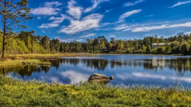 식당은 숲과 수천 개의 호수가 있어 스웨덴에서 풍광이 빼어난 곳으로 꼽히는 베름란드에 있다