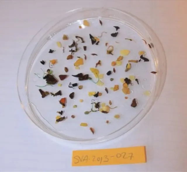 ఆర్కిటిక్ మహా సముద్ర జలాల్లో కనిపించిన మైక్రో ప్లాస్టిక్స్