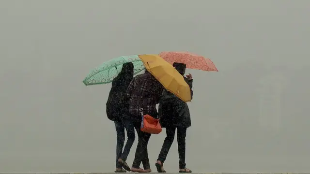 मॉनसून, इत्र