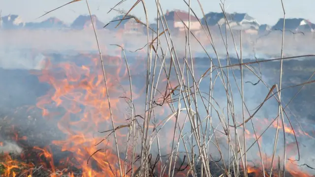 Пожежа на Закарпатті