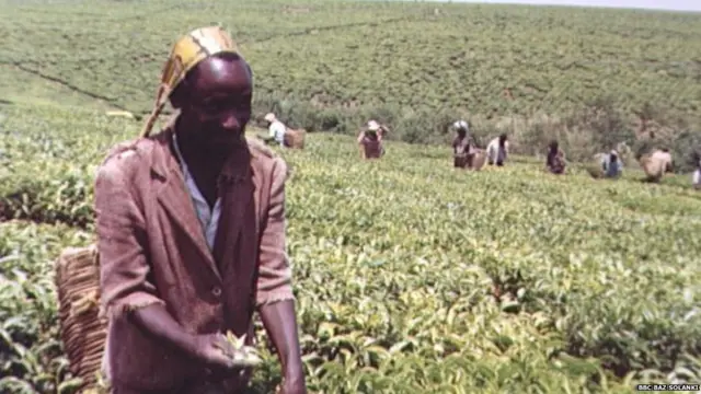 युगांडा