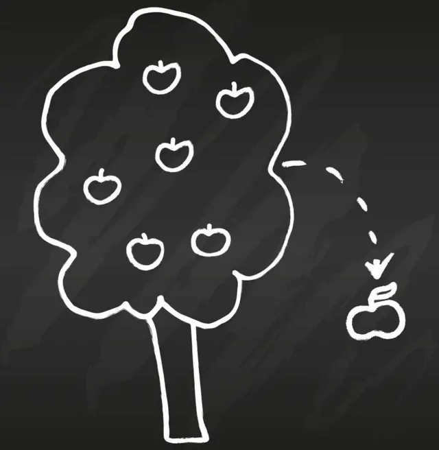 Maçã caindo da árvore