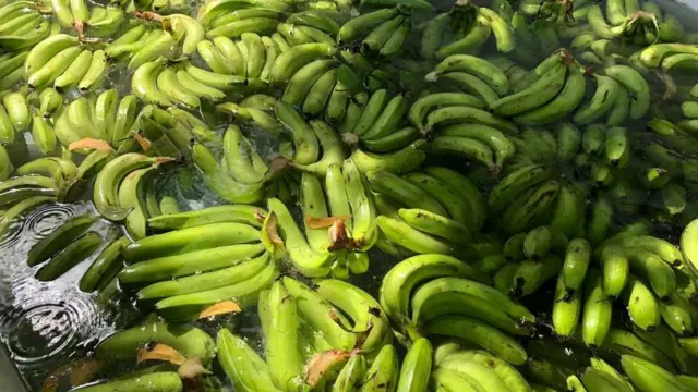 Barkadda Mooska lagu meyro