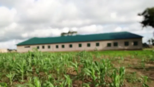 Ahmad Gumi school for herdsmen: Sheik Gumi open herdsmen school inside Kaduna forest