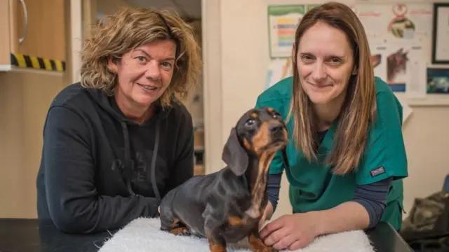 La dueña del perro, junto a la veterinaria y Trevor.