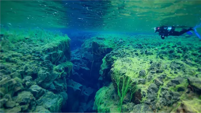 La plupart des volcans se forment là où deux plaques tectoniques se rencontrent, mais il en existe un autre type.