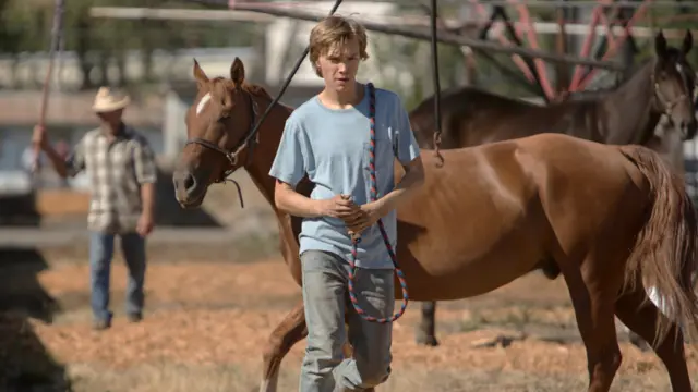 경주마와의 우정을 그린 '린 온 피트'