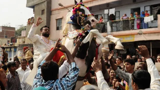 વરઘોડામાં ઘોડી નચાવવાનું ચલણ વધ્યું છે.