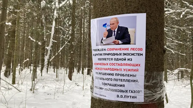 Вырубка троицкого леса