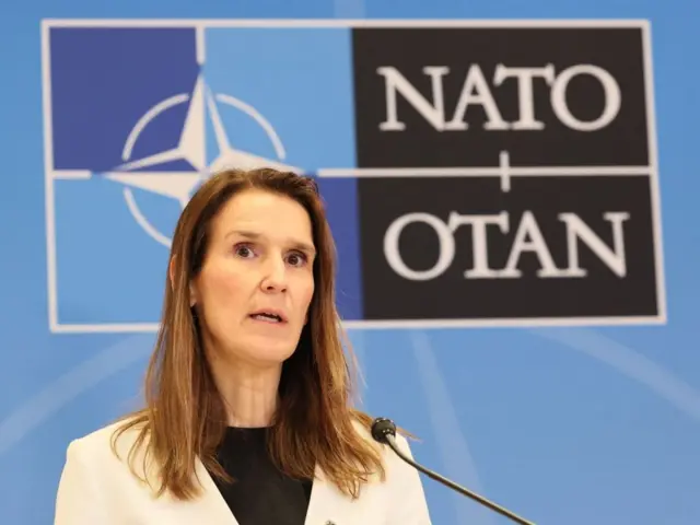 Belçika Dışişleri Bakanı Sophie Wilmès