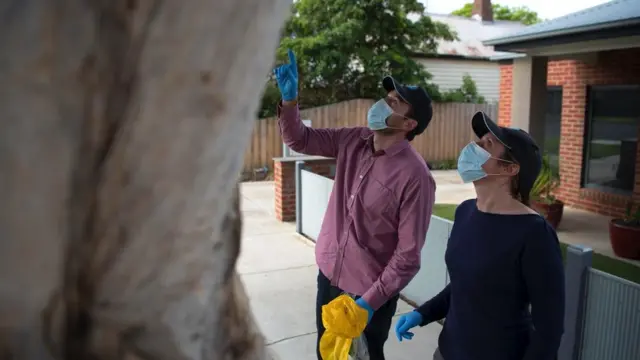 Виразка Бурулі