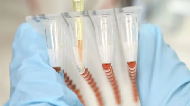 वैज्ञानिक प्रयोग