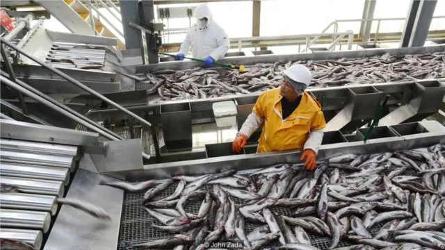 岛上最大的海产品加工厂"统一海洋（UniSea）"，拥有阿拉斯加所有渔场中最高的环境标准