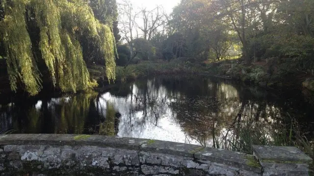 เวน คอร์ต