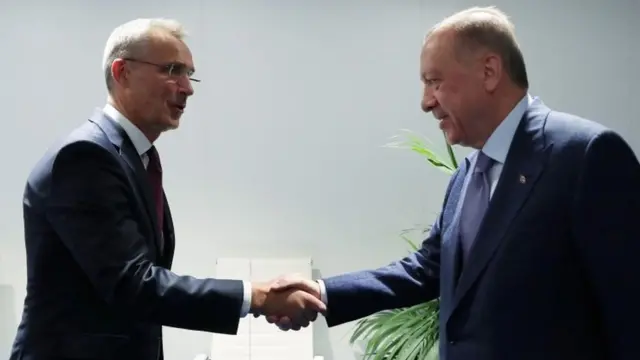 الرئيس التركي رجب طيب أردوغان يصافح الأمين العام لحلف الناتو ينس ستولتنبرغ خلال اجتماعهما