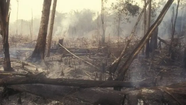 ਫੁਕਿਆ ਜੰਗਲ