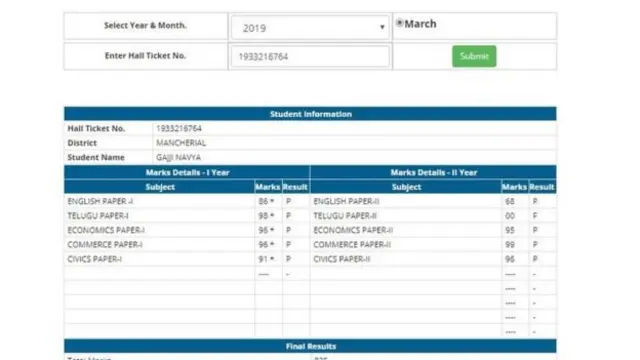नव्या का अंकपत्र