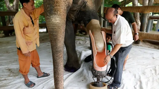 ajustando la prótesis