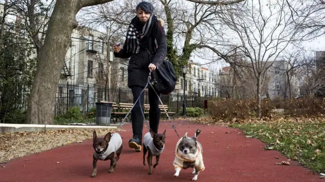 Когда работа как у Ванессы - порой хочется перекусить на ходу