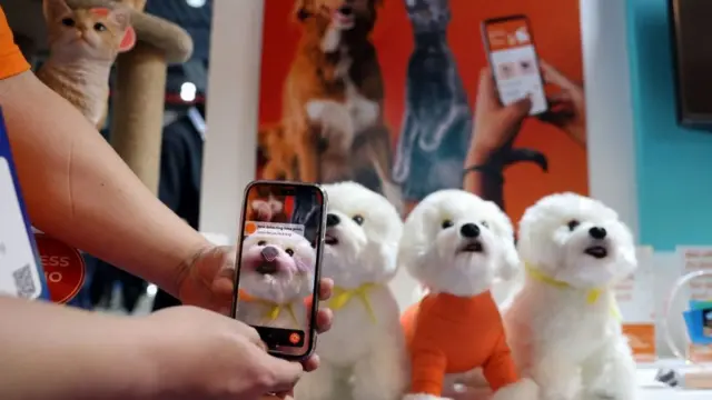 Демонстрация аппа для идентификации домашних питомцев по мордочке