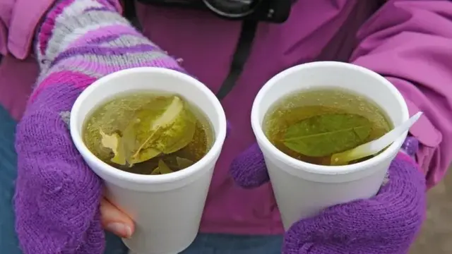 कोका के पत्ते