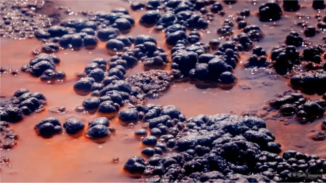 نظریہ ارتقا