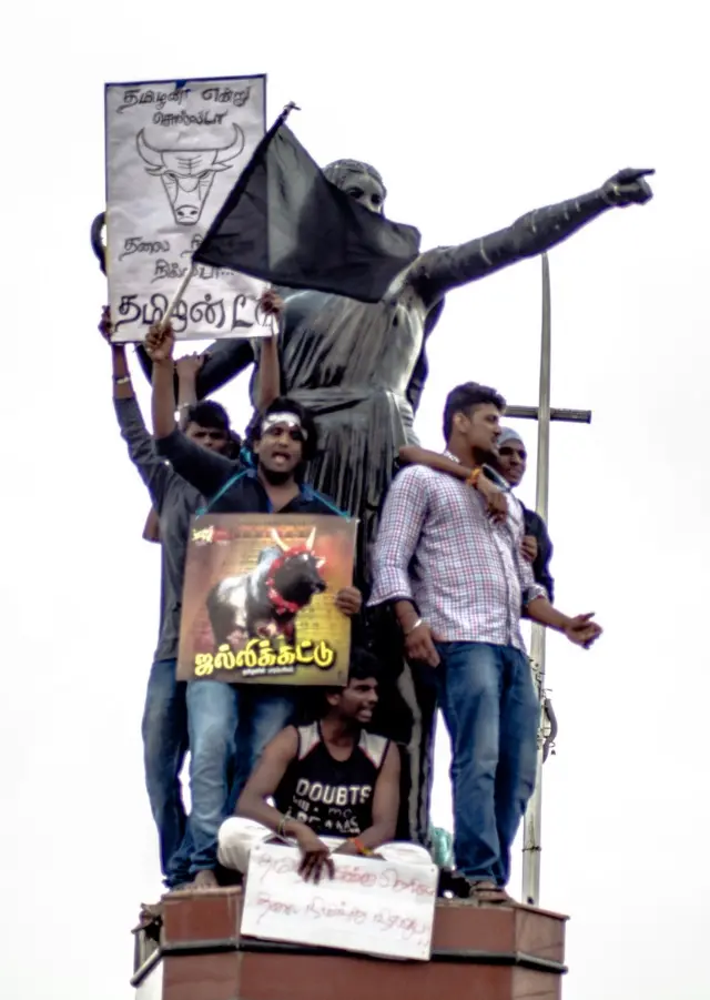 கண்ணகியுடன் ஜல்லிக்கட்டு ஆதரவாளர்கள் - பாஸ்கரன் அங்கப்பன், சென்னை