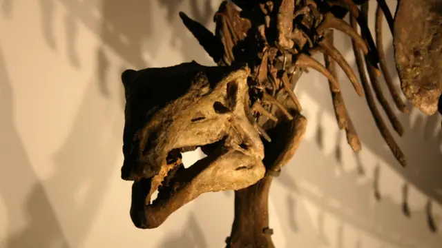 டைனோசர்கள்