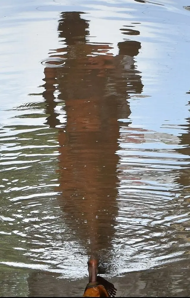 பிரதிபலிப்பு