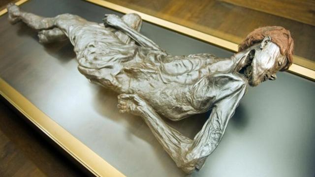 Homemmelhores jogos cassino onlineGrauballe