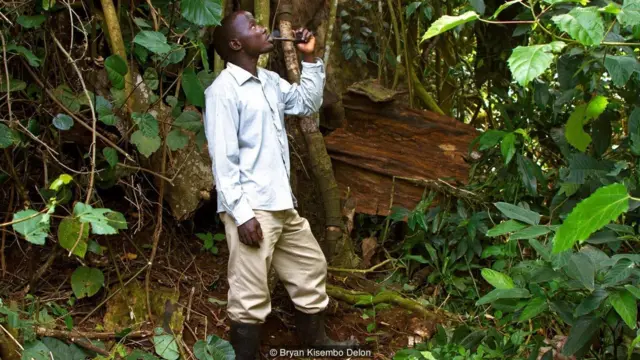 penjaga roh piton, uganda