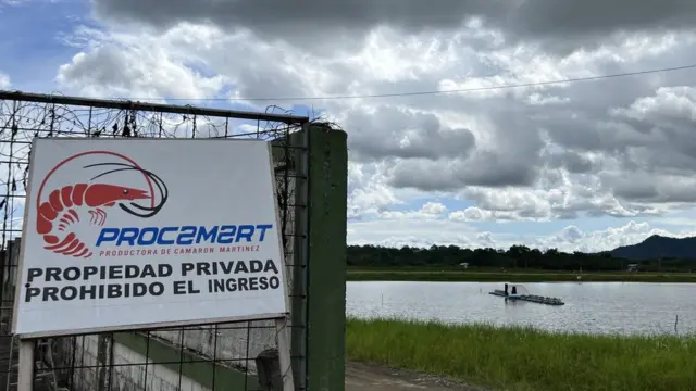 Granja camaronera en Ecuador