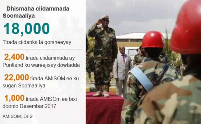 Shaxda dhismaha ciidamada