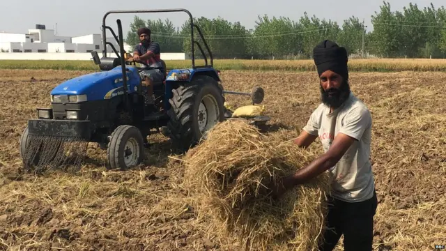 ਜਗਦੀਪ ਸਿੰਘ ਦਾ ਦਾਅਵਾ ਹੈ ਕਿ ਟਰੈਕਟਰ ਨਾਲ ਖੇਤ ਦੋ ਵਾਰ ਵਹਾਉਣ ਤੋਂ ਬਾਅਦ ਵੀ ਪਰਾਲੀ ਖ਼ਤਮ ਨਹੀਂ ਹੋਈ