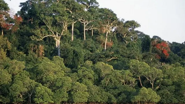 அந்தமான் நிகோபார் தீவுகள்